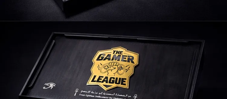 The Gamer League box image 3