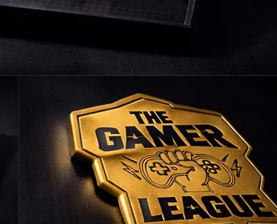 The Gamer League box image 4