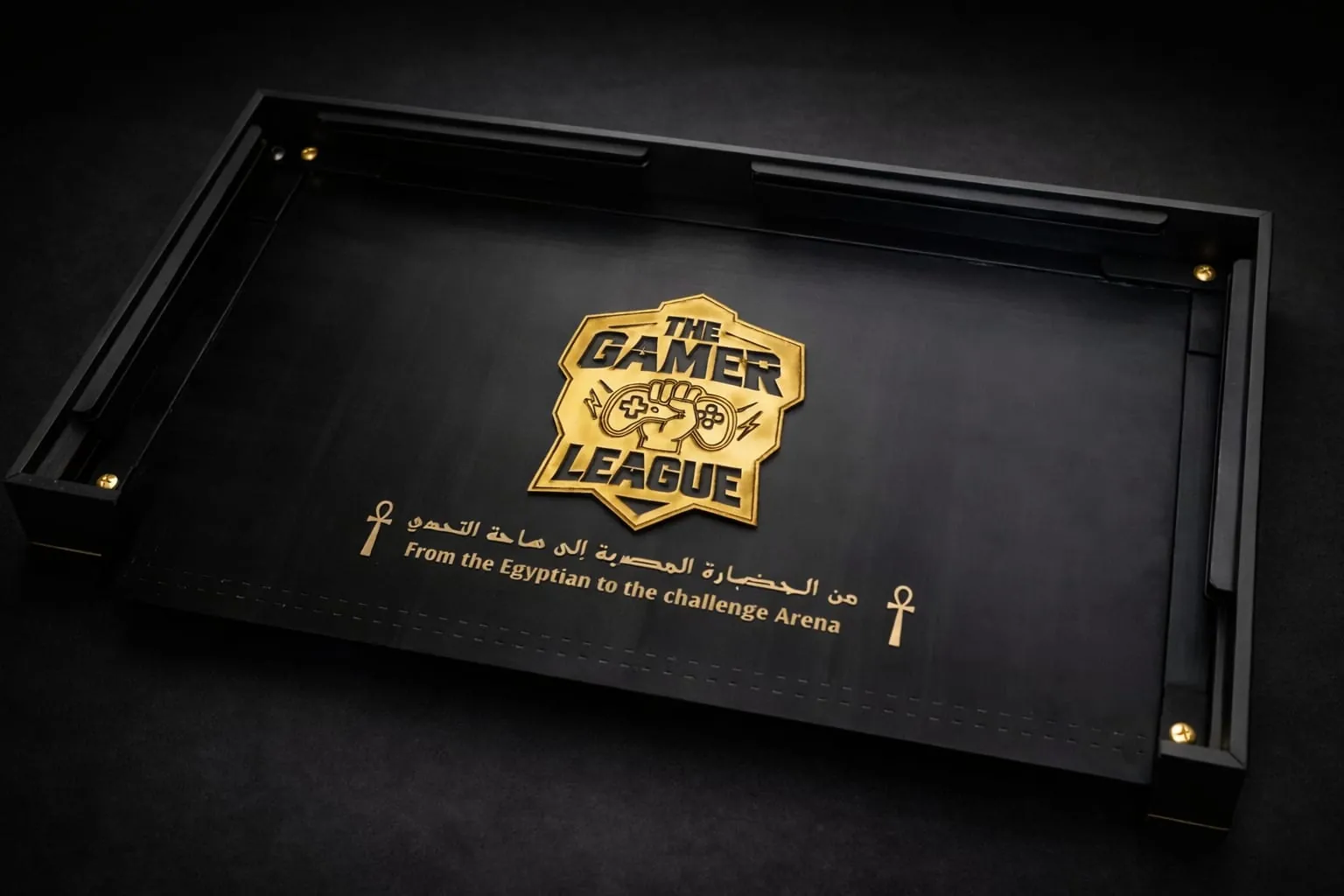 The Gamer League box image 9